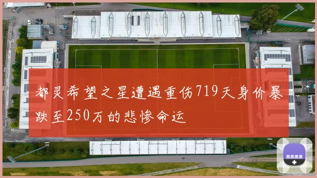 都灵希望之星遭遇重伤719天身价暴跌至250万的悲惨命运