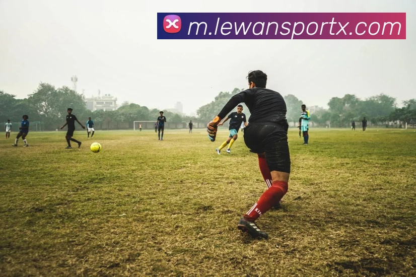 乐玩LEWIN服务体系